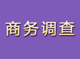 宁阳商务调查